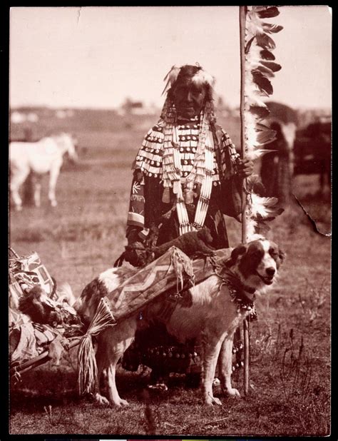 The Phenomenon of the Native American Dogs Curse: Fact or Fiction?